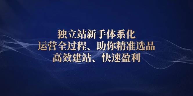 (13914期)独立站新手体系化 运营全过程,助你精准选品、高效建站、快速盈利-神马网赚 (13914期)独立站新手体系化 运营全过程,助你精准选品、高效建站、快速盈利-神马网赚