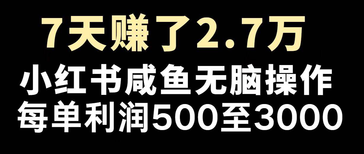 (14183期)最赚钱项目之一,2025爆火,逆风翻盘!-神马网赚 (14183期)最赚钱项目之一,2025爆火,逆风翻盘!-神马网赚