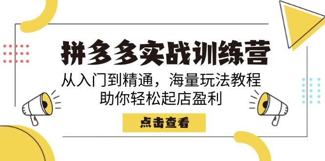 (14392期)拼多多实战训练营,从入门到精通,海量玩法教程,助你轻松起店盈利-神马网赚 (14392期)拼多多实战训练营,从入门到精通,海量玩法教程,助你轻松起店盈利-神马网赚