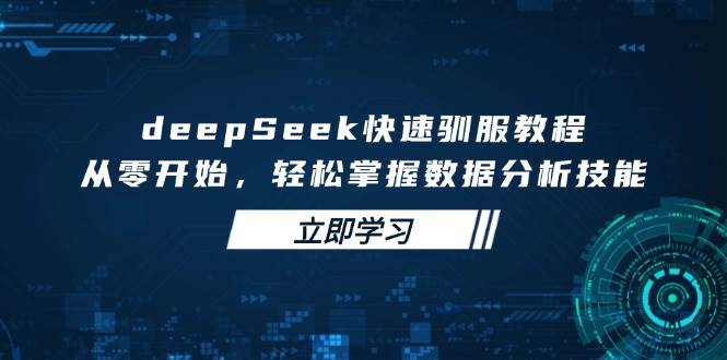 (14536期)deepSeek快速驯服教程,从零开始,轻松掌握数据分析技能-神马网赚 (14536期)deepSeek快速驯服教程,从零开始,轻松掌握数据分析技能-神马网赚