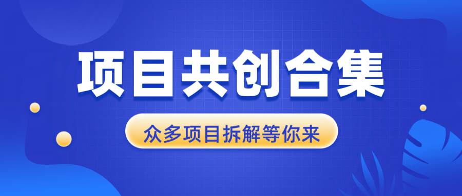 (13778期)项目共创合集,从0-1全过程拆解,让你迅速找到适合自已的项目网赚项目-副业赚钱-互联网创业-资源整合神马网赚