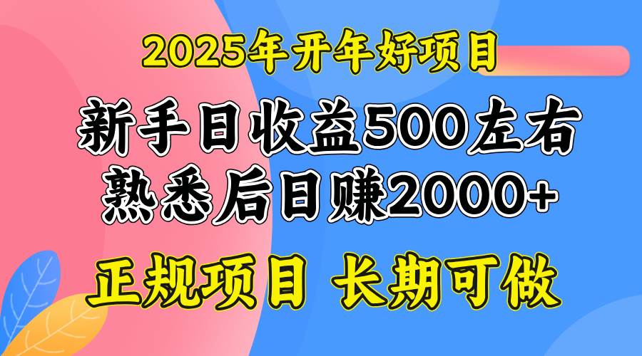 (14076期)2025开年好项目,单号日收益2000左右网赚项目-副业赚钱-互联网创业-资源整合神马网赚