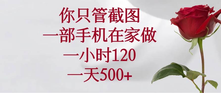 （14248期）你只管截图，一部手机在家做，一小时120，一天500+网赚项目-副业赚钱-互联网创业-资源整合神马网赚