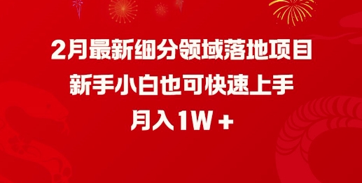 2月最新细分领域落地项目,新手小白也可快速上手,月入1W网赚项目-副业赚钱-互联网创业-资源整合神马网赚