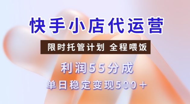 快手小店代运营3.0,模式新升级,收益55分,稳定单日5张网赚项目-副业赚钱-互联网创业-资源整合神马网赚