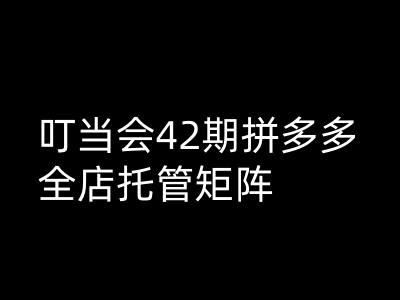 叮当会拼多多打爆班原创高阶技术第42期,拼多多全店托管矩阵网赚项目-副业赚钱-互联网创业-资源整合神马网赚