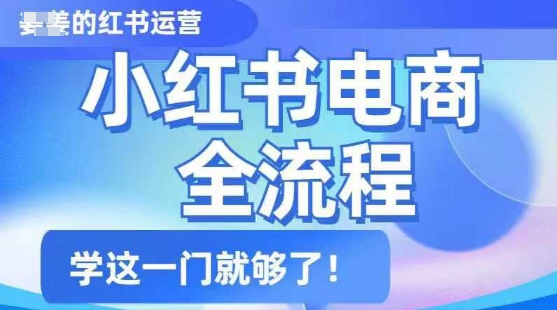小红书电商全流程,精简易懂,从入门到精通,学这一门就够了网赚项目-副业赚钱-互联网创业-资源整合神马网赚