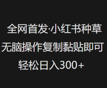 全网首发,小红书种草无脑操作,复制黏贴即可,轻松日入3张网赚项目-副业赚钱-互联网创业-资源整合神马网赚