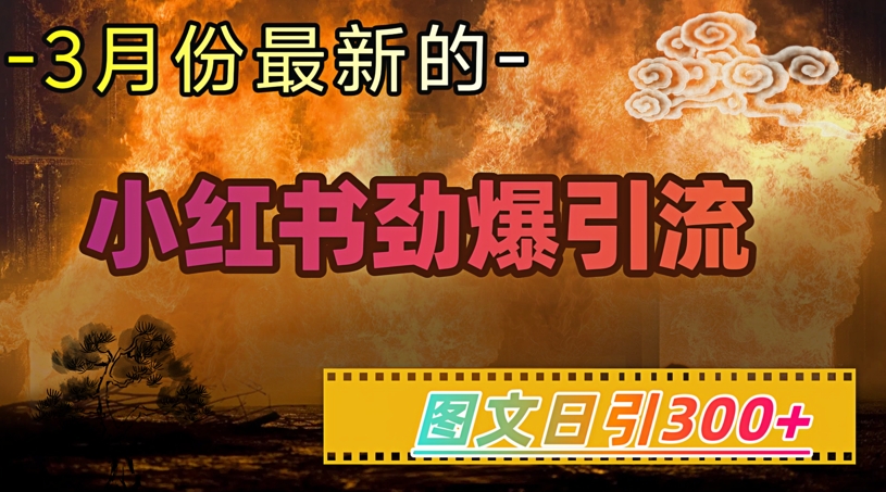小红书超劲爆引流手段,图文日引300+轻松变现1W网赚项目-副业赚钱-互联网创业-资源整合神马网赚