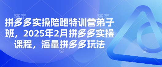 拼多多实操陪跑特训营弟子班,2025年2月拼多多实操课程,海量拼多多玩法网赚项目-副业赚钱-互联网创业-资源整合神马网赚