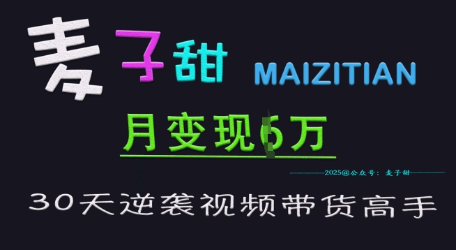 麦子甜30天逆袭视频带货高手,单月变现6W加特训营网赚项目-副业赚钱-互联网创业-资源整合神马网赚
