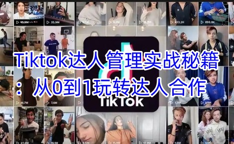 Tiktok达人管理实战秘籍：从0到1玩转达人合作网赚项目-副业赚钱-互联网创业-资源整合神马网赚