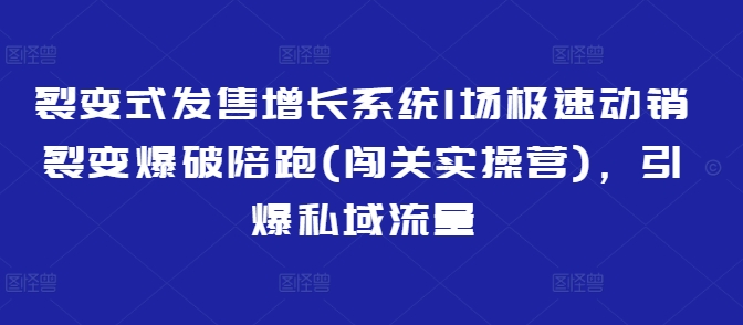 裂变式发售增长系统1场极速动销裂变爆破陪跑(闯关实操营),引爆私域流量网赚项目-副业赚钱-互联网创业-资源整合神马网赚