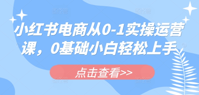 小红书电商从0-1实操运营课,0基础小白轻松上手网赚项目-副业赚钱-互联网创业-资源整合神马网赚