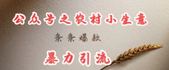 deepseek写农村小项目,条条爆款,暴力引流网赚项目-副业赚钱-互联网创业-资源整合神马网赚