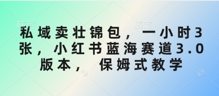 私域卖壮锦包,一小时3张,小红书蓝海赛道3.0版本, 保姆式教学网赚项目-副业赚钱-互联网创业-资源整合神马网赚