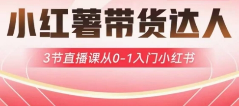 小红薯达人带货启航计划,3节直播课从0-1入门小红书网赚项目-副业赚钱-互联网创业-资源整合神马网赚