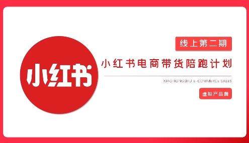 2025小红书虚拟电商实战课,从0到1打造无货源店铺,AI+爆款笔记轻松变现网赚项目-副业赚钱-互联网创业-资源整合神马网赚