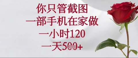 你只管截图,一部手机在家操作,一小时120.一天5张网赚项目-副业赚钱-互联网创业-资源整合神马网赚