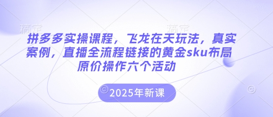 拼多多实操课程,飞龙在天玩法,真实案例,直播全流程链接的黄金sku布局原价操作六个活动网赚项目-副业赚钱-互联网创业-资源整合神马网赚