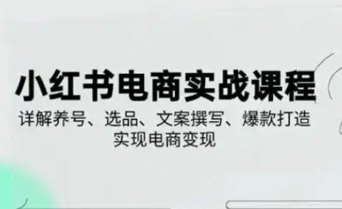 小红书从0-1实操课(2023-2025),详解养号、选品、文案撰写、爆款打造实现电商变现网赚项目-副业赚钱-互联网创业-资源整合神马网赚