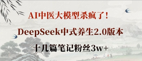 AI中医大模型杀疯了!DeepSeek中式养生2.0版本,十几篇笔记粉丝3w+网赚项目-副业赚钱-互联网创业-资源整合神马网赚