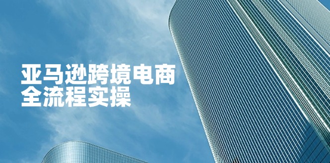 亚马逊跨境电商全流程实操，教你从零开始，掌握店铺运营与广告技巧网赚项目-副业赚钱-互联网创业-资源整合神马网赚