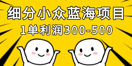 细分小众蓝海项目,一单利润3张,每月收入稳定过1w+网赚项目-副业赚钱-互联网创业-资源整合神马网赚