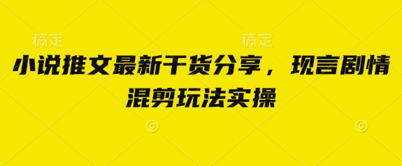 小说推文最新干货分享，现言剧情混剪玩法实操网赚项目-副业赚钱-互联网创业-资源整合神马网赚