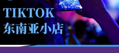 Tiktok东南亚跨境小店运营班,一门专业的TK小店运营培训课网赚项目-副业赚钱-互联网创业-资源整合神马网赚