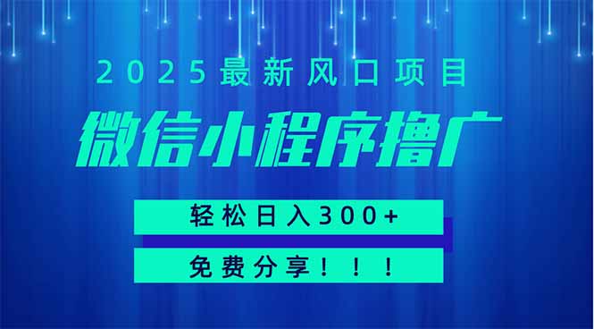 微信小程序撸广，最新风口项目，日入300+ 免费分享 可批量操作 小白可…网赚项目-副业赚钱-互联网创业-资源整合神马网赚
