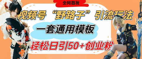 视频号“野路子”玩法，评论区疯狂截流，一套模板单日单号引流50+创业粉网赚项目-副业赚钱-互联网创业-资源整合神马网赚
