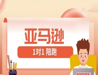 亚马逊1对1陪跑课(FBA/FBM精铺)跨境亚马逊教程网赚项目-副业赚钱-互联网创业-资源整合神马网赚