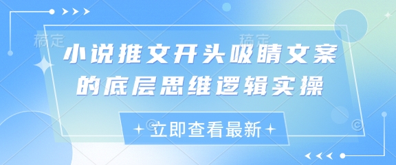小说推文开头吸睛文案的底层思维逻辑实操网赚项目-副业赚钱-互联网创业-资源整合神马网赚