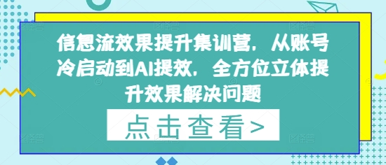 信息流效果提升集训营,从账号冷启动到AI提效,全方位立体提升效果解决问题网赚项目-副业赚钱-互联网创业-资源整合神马网赚