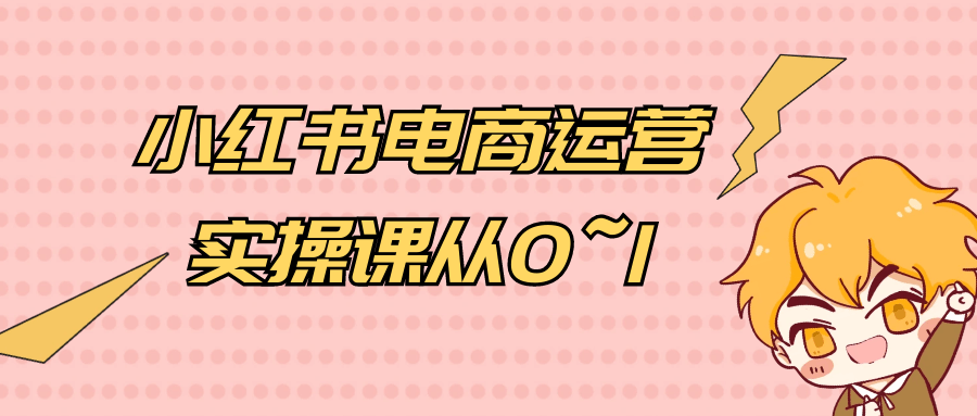 小红书电商运营实操课从0~1网赚项目-副业赚钱-互联网创业-资源整合神马网赚