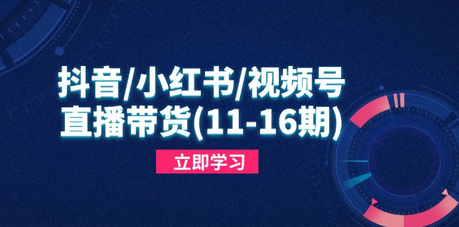 抖音/小红书/视频号/直播带货（11-16期），快速掌握平台规则，打造爆款内容网赚项目-副业赚钱-互联网创业-资源整合神马网赚