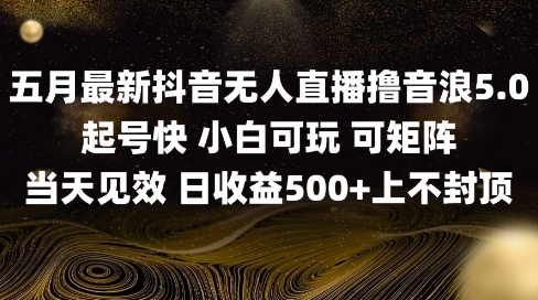 2025五月最新无人直播撸音浪单日产出5张+实操教程网赚项目-副业赚钱-互联网创业-资源整合神马网赚