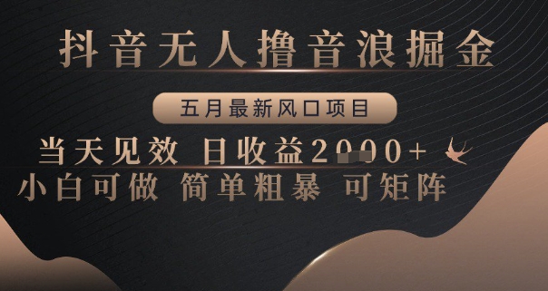 抖音无人撸音浪掘金,五月最新风口项目,当天见效,日收益多张,小白可做简单粗暴可矩阵网赚项目-副业赚钱-互联网创业-资源整合神马网赚