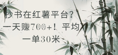抄书在小红薯平台?平均一单30米,一天收益几张!网赚项目-副业赚钱-互联网创业-资源整合神马网赚