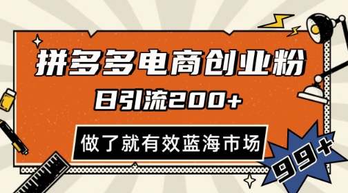 拼多多引流电商创业粉,日引200+,可矩阵放大,做了就有效网赚项目-副业赚钱-互联网创业-资源整合神马网赚