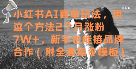 小红书AI商单玩法,用这个方法2个月涨粉7W+,新手也能接品牌合作(附全套指令模板)网赚项目-副业赚钱-互联网创业-资源整合神马网赚