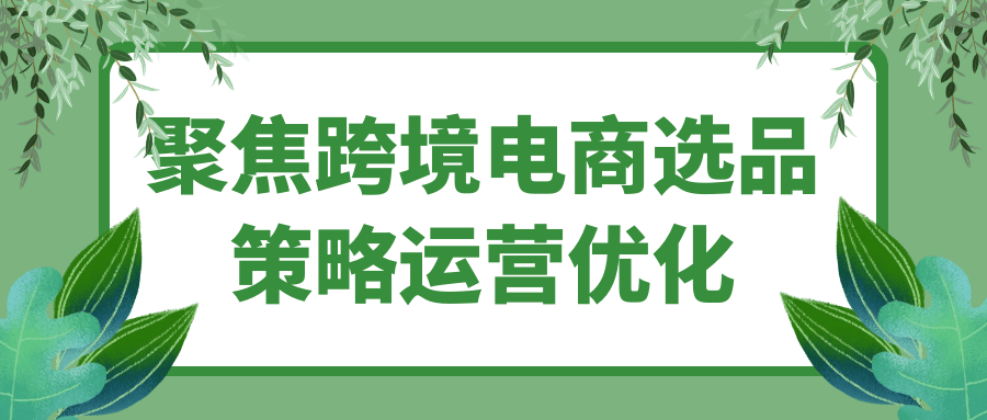 聚焦跨境电商选品策略运营优化网赚项目-副业赚钱-互联网创业-资源整合神马网赚