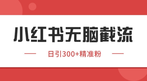 小红书截流同行客源,独家野路子获客玩法 日引200+暴力获客网赚项目-副业赚钱-互联网创业-资源整合神马网赚