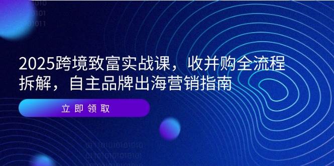 2025跨境致富实战课,收并购全流程拆解,自主品牌出海营销指南网赚项目-副业赚钱-互联网创业-资源整合神马网赚