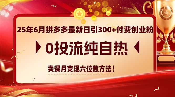 25年6月拼多多最新日引300+付费创业粉，0投流纯自热 卖课月变现六位数方法网赚项目-副业赚钱-互联网创业-资源整合神马网赚