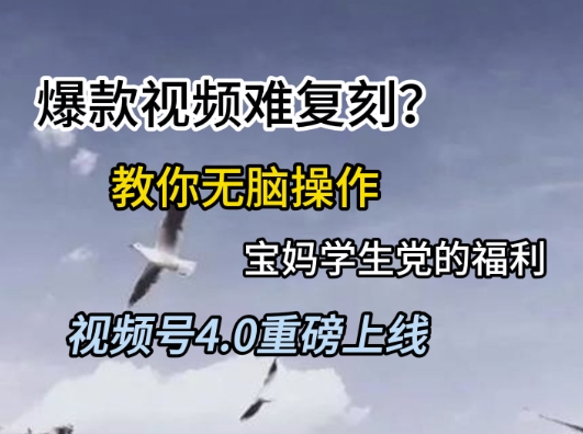 视频号4.0重磅上线,爆款视频难复刻?教你无脑操作宝妈学生党的福利网赚项目-副业赚钱-互联网创业-资源整合神马网赚