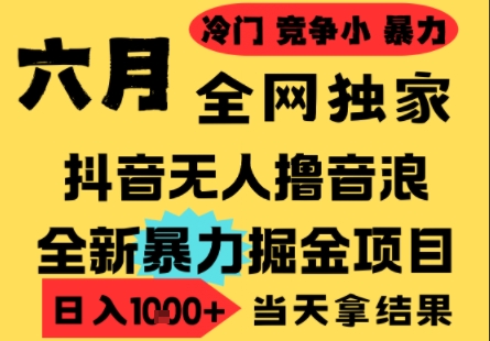 25年6月高爆抖音无人直播最新撸音浪掘金项目，小白可做，无脑日入1k+，门槛低可批量矩阵网赚项目-副业赚钱-互联网创业-资源整合神马网赚