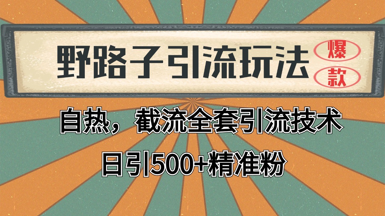 2024首发野路子引流玩法截流自热全平台打法，全自动引流【日引2000+精准客户】网赚项目-副业赚钱-互联网创业-资源整合神马网赚