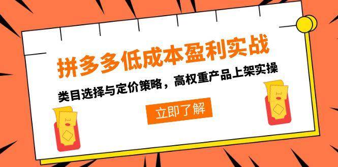 拼多多低成本盈利实战，类目选择与定价策略，高权重产品上架实操网赚项目-副业赚钱-互联网创业-资源整合神马网赚